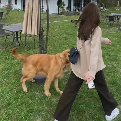 张逸凡